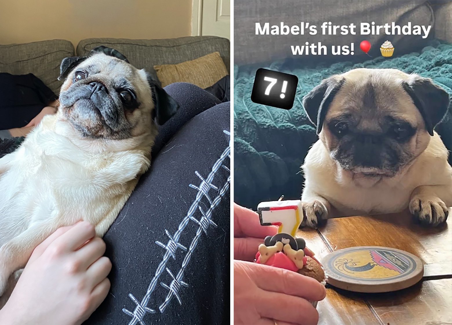 Becky’s Story of Adopting Mabel
