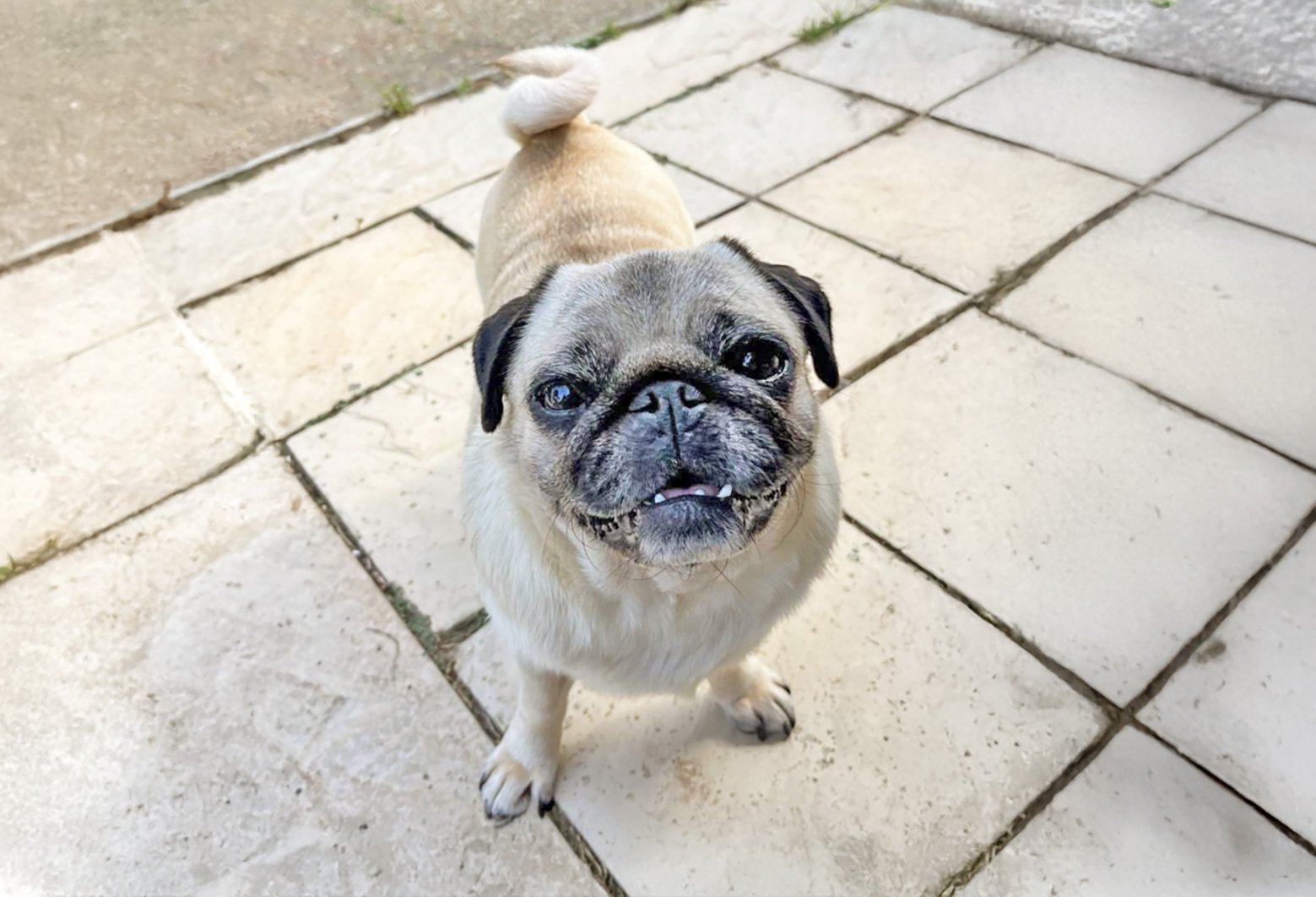 Becky’s Story of Adopting Mabel