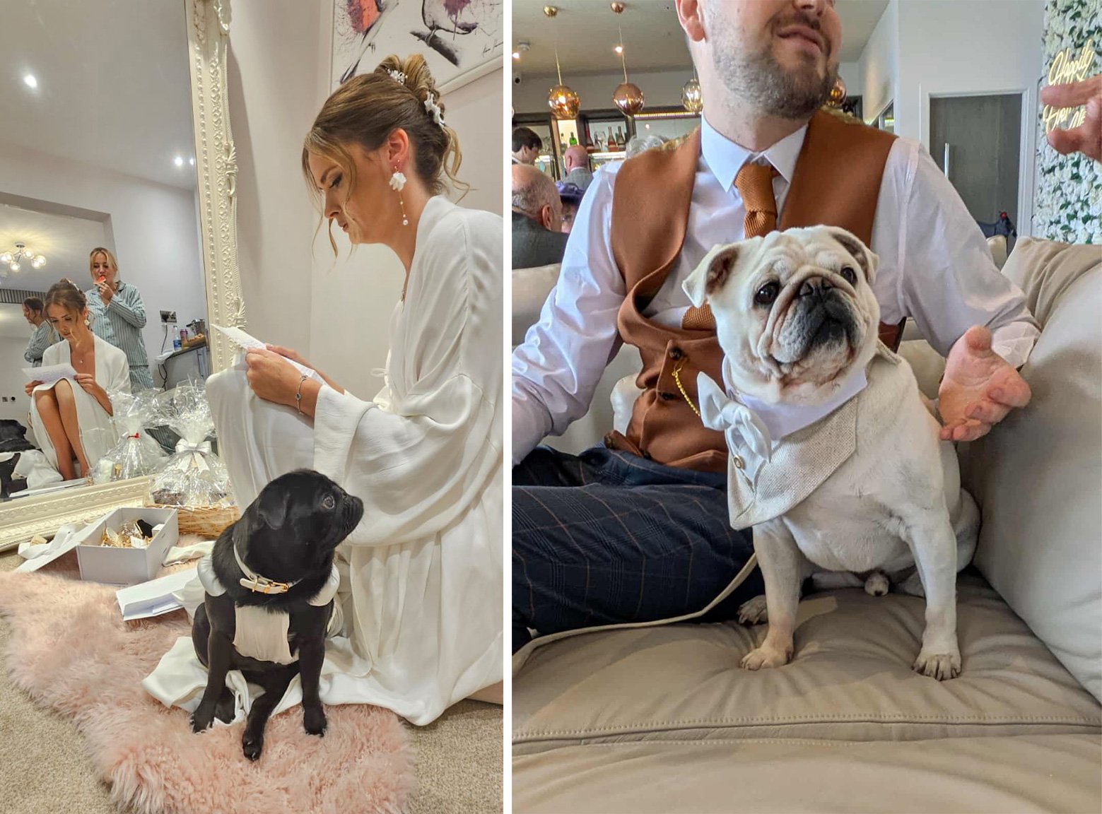 Jasmine’s Story of Adopting Padme