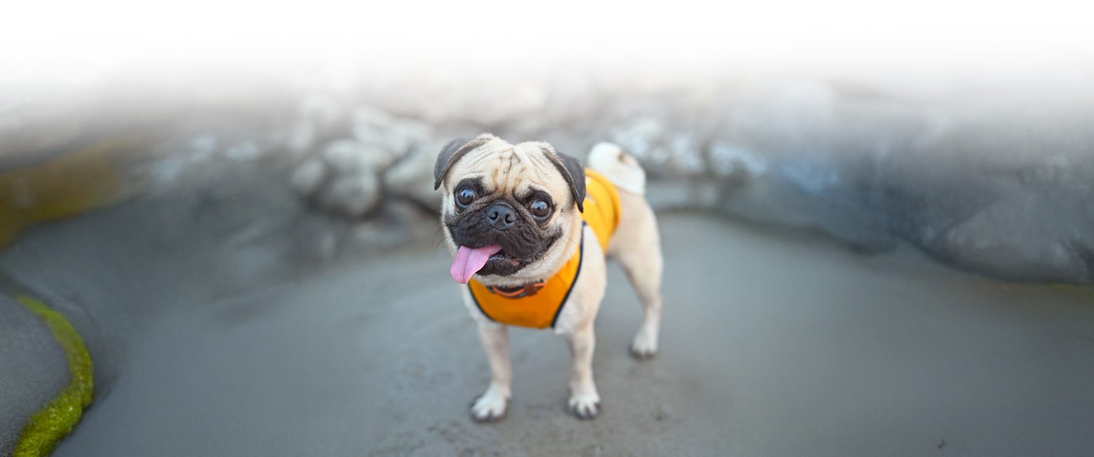 Here you'll find a complete rundown of all PWR Policies