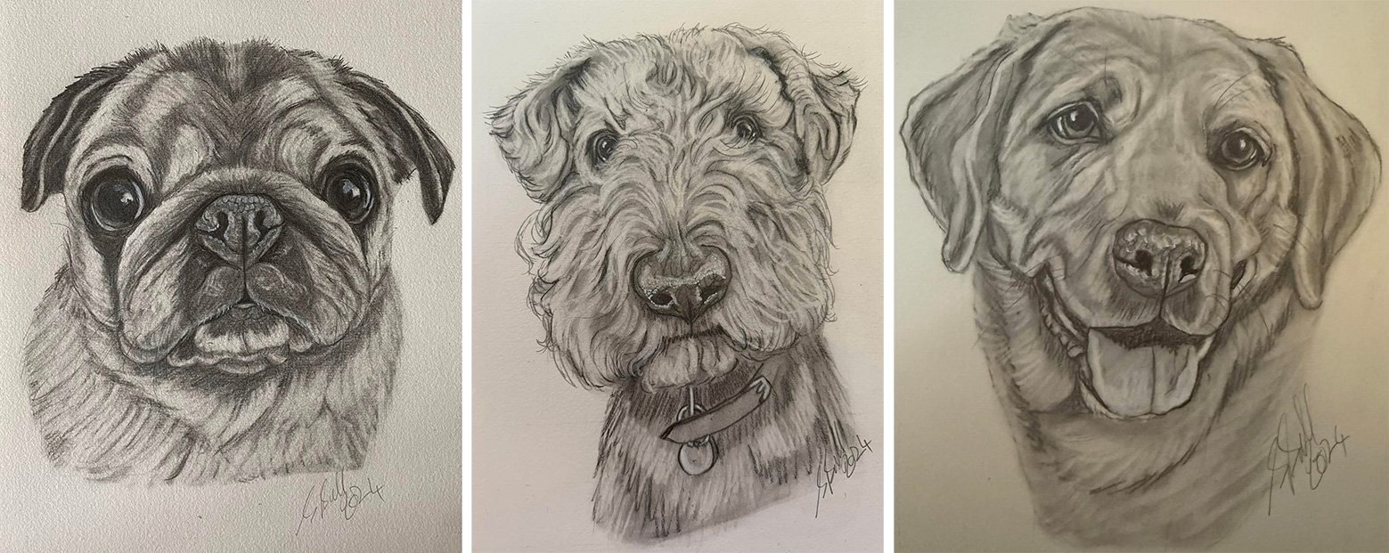 Shirley does lovely Drawings of people's dogs to raise money for Pug Welfare & Rescue