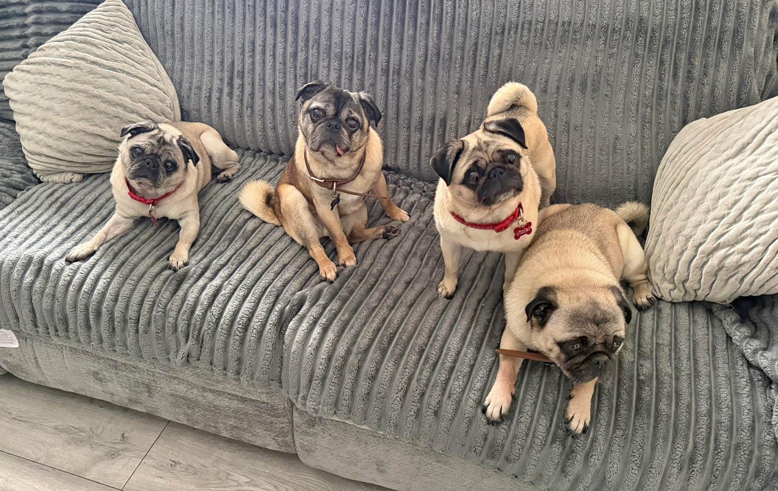 Leanne Adopts Ava and Violet