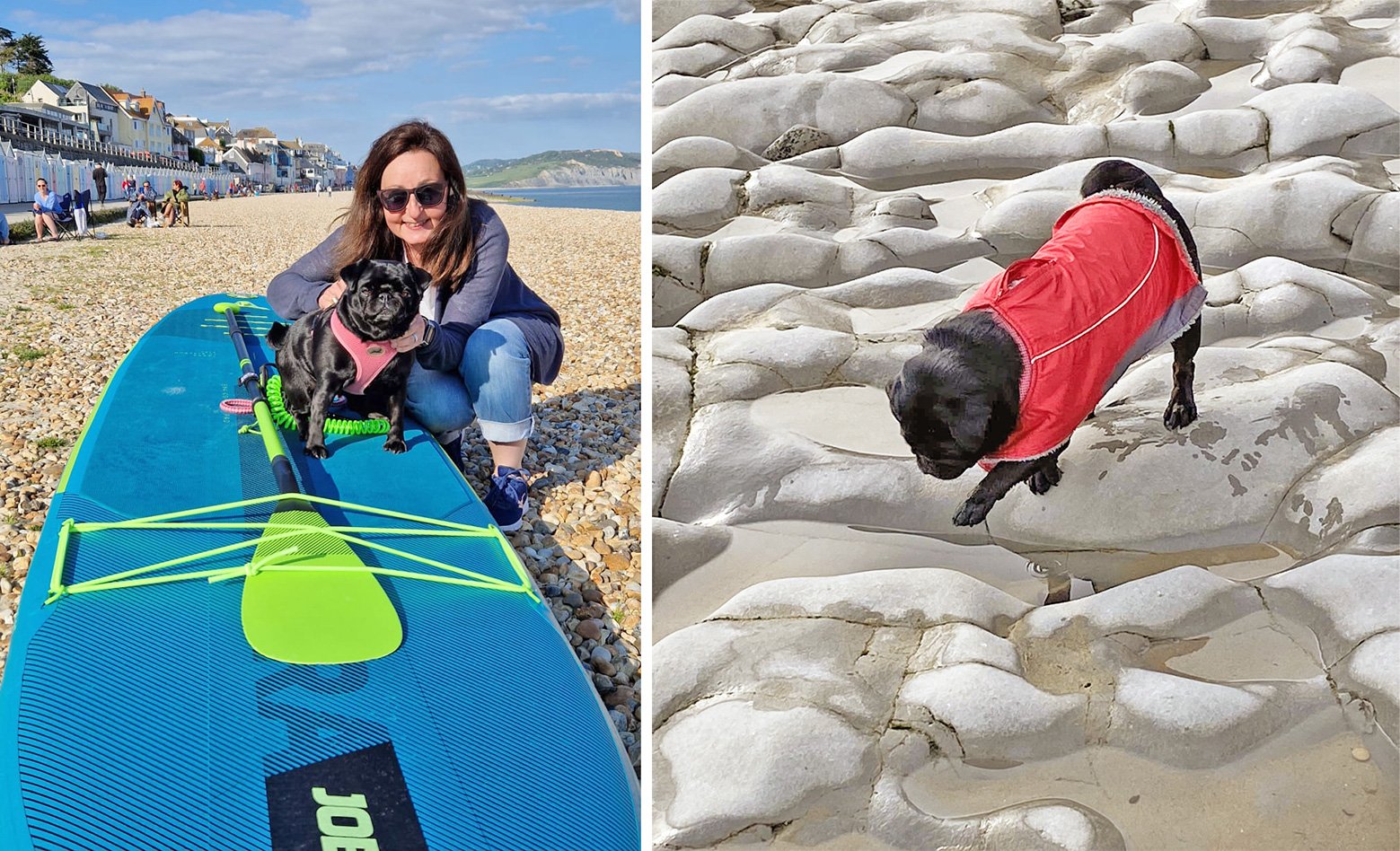 Wendy talks about her journey to becoming a pug parent