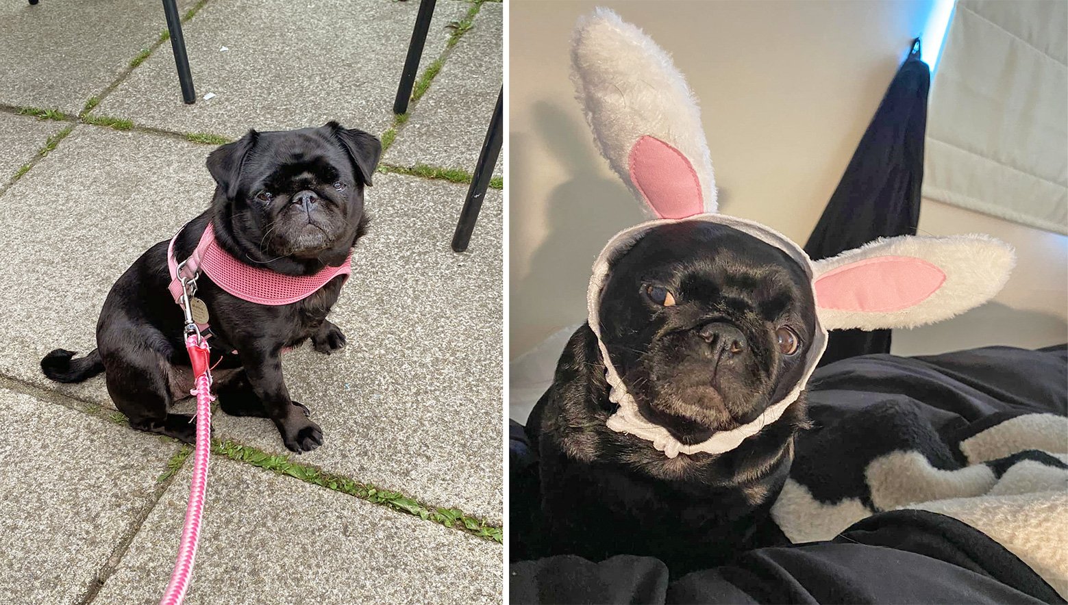 Martha out and about enjoying life