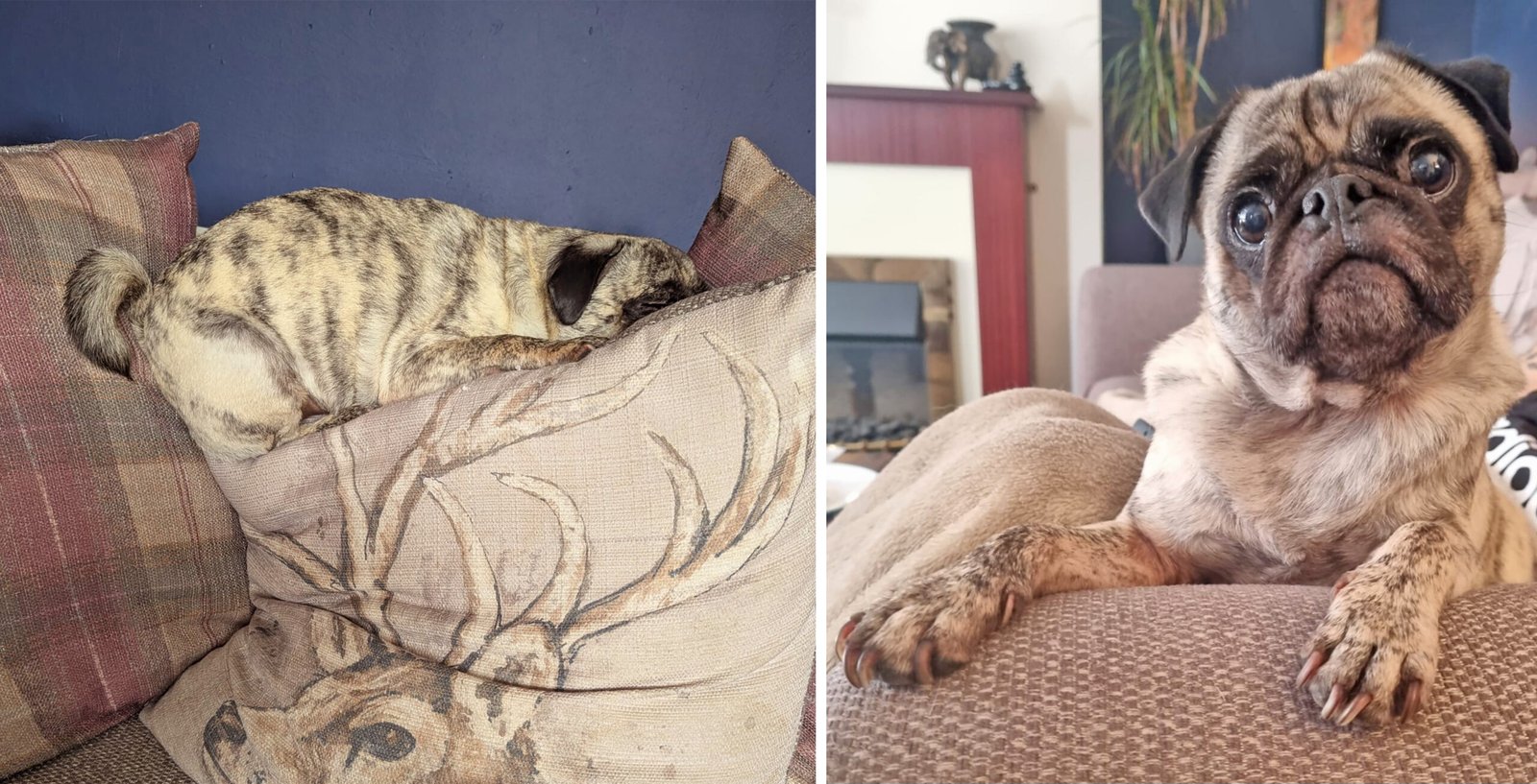 Ralph is at home with Ruth