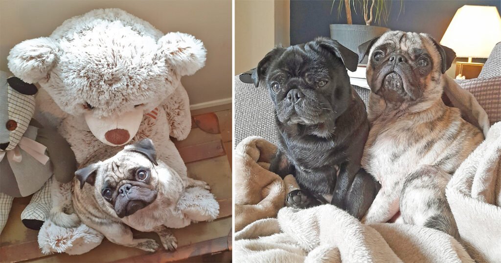 Ralph happy with his new family