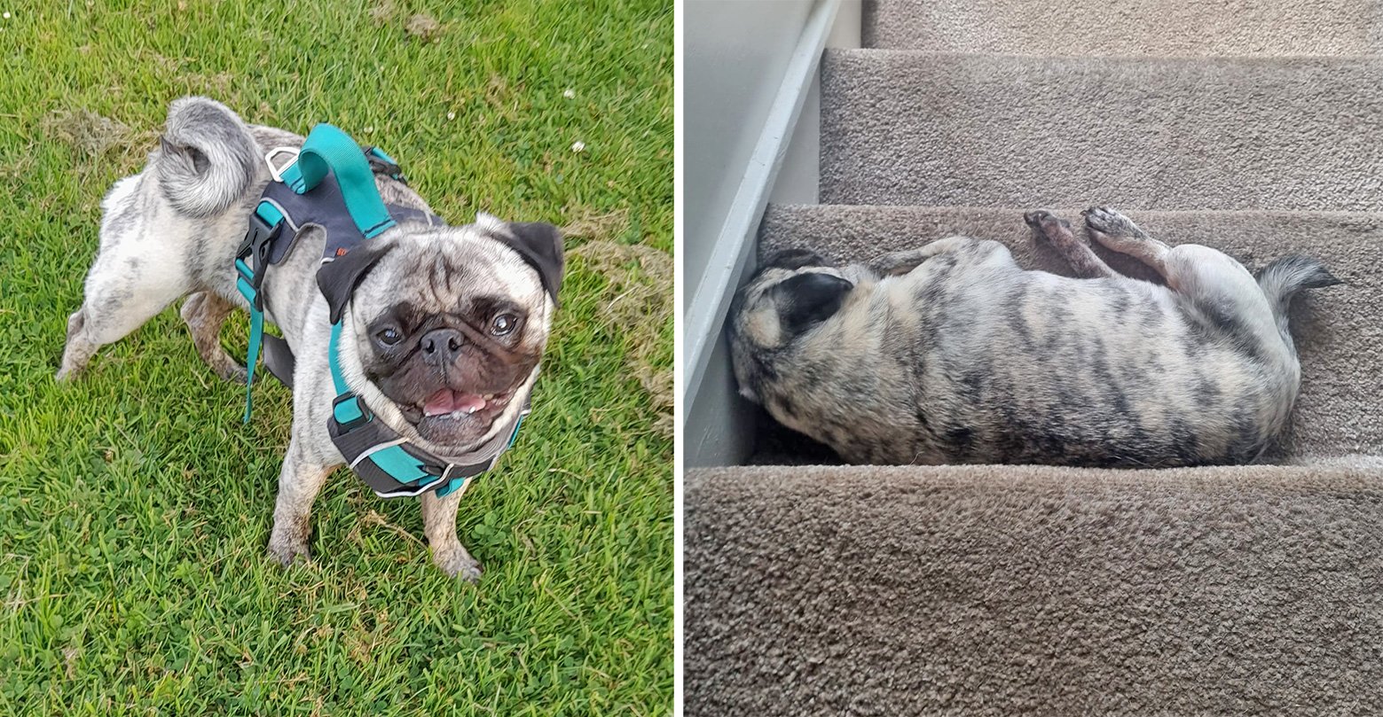 Ralph living his best life with Ruth