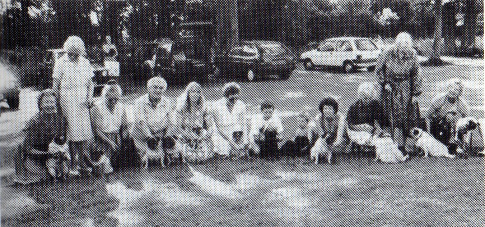 Some of the original ladies that started the Pug Welfare charity
