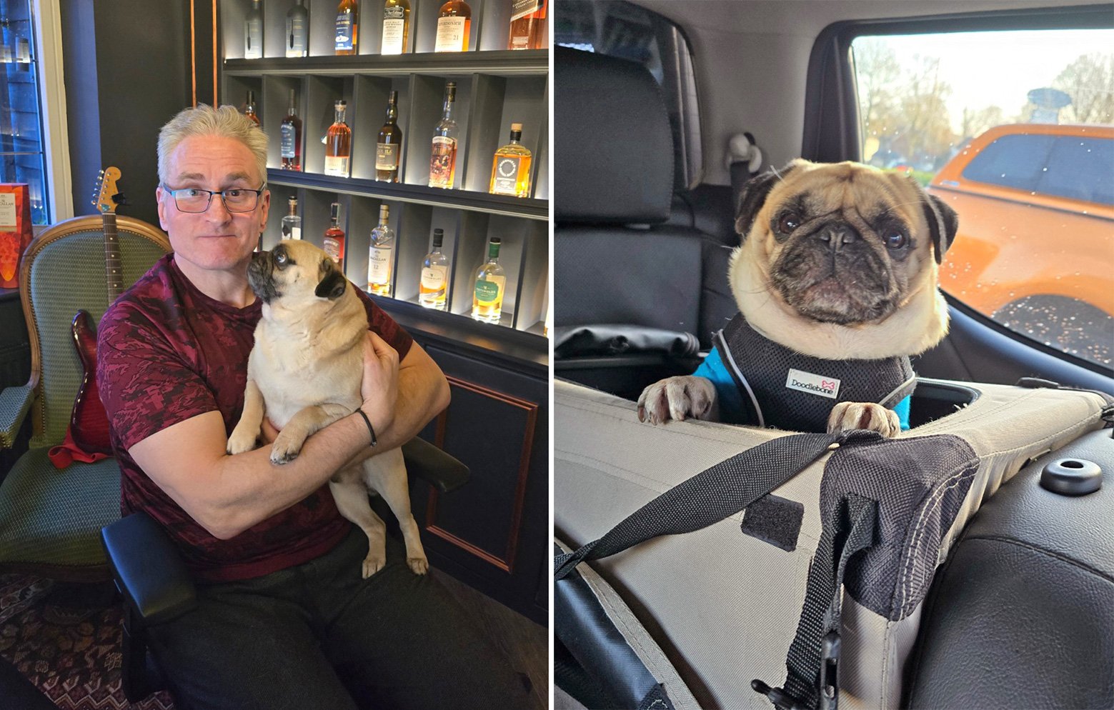 Giles at home with Bertie 