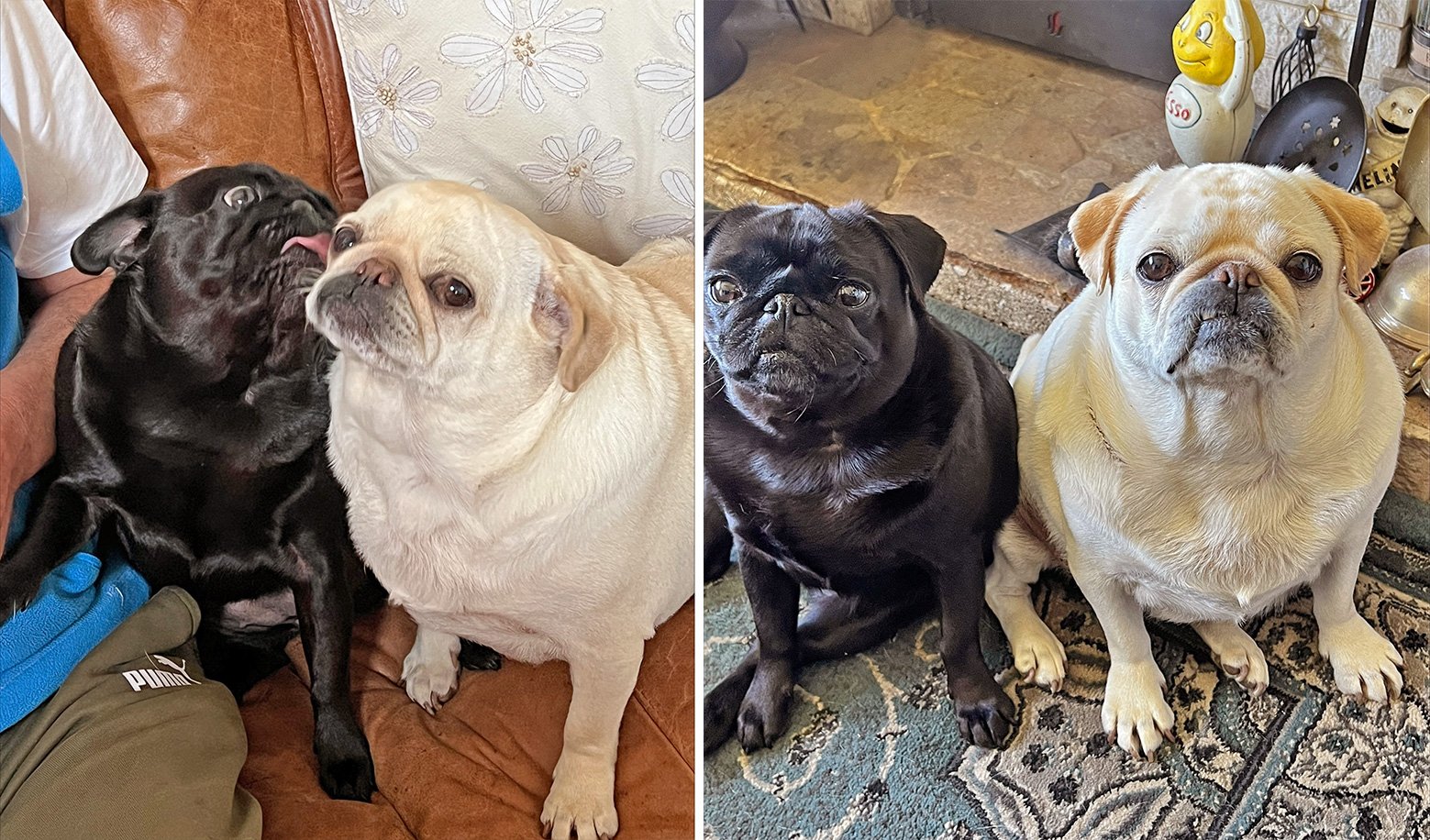 Lizzie's Story of Adopting Bella & Gracie