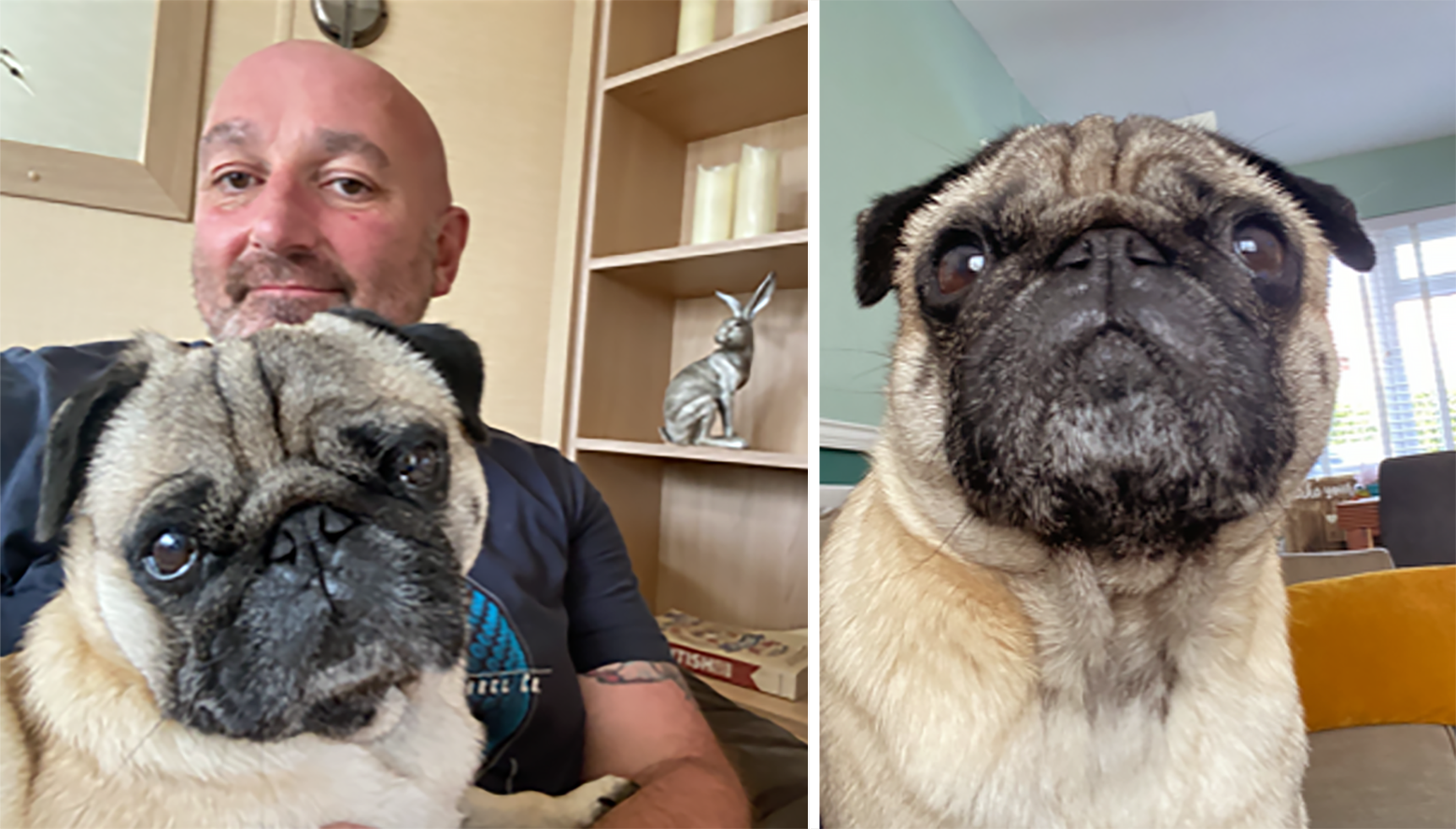 Danny's Story of Adopting Biggles