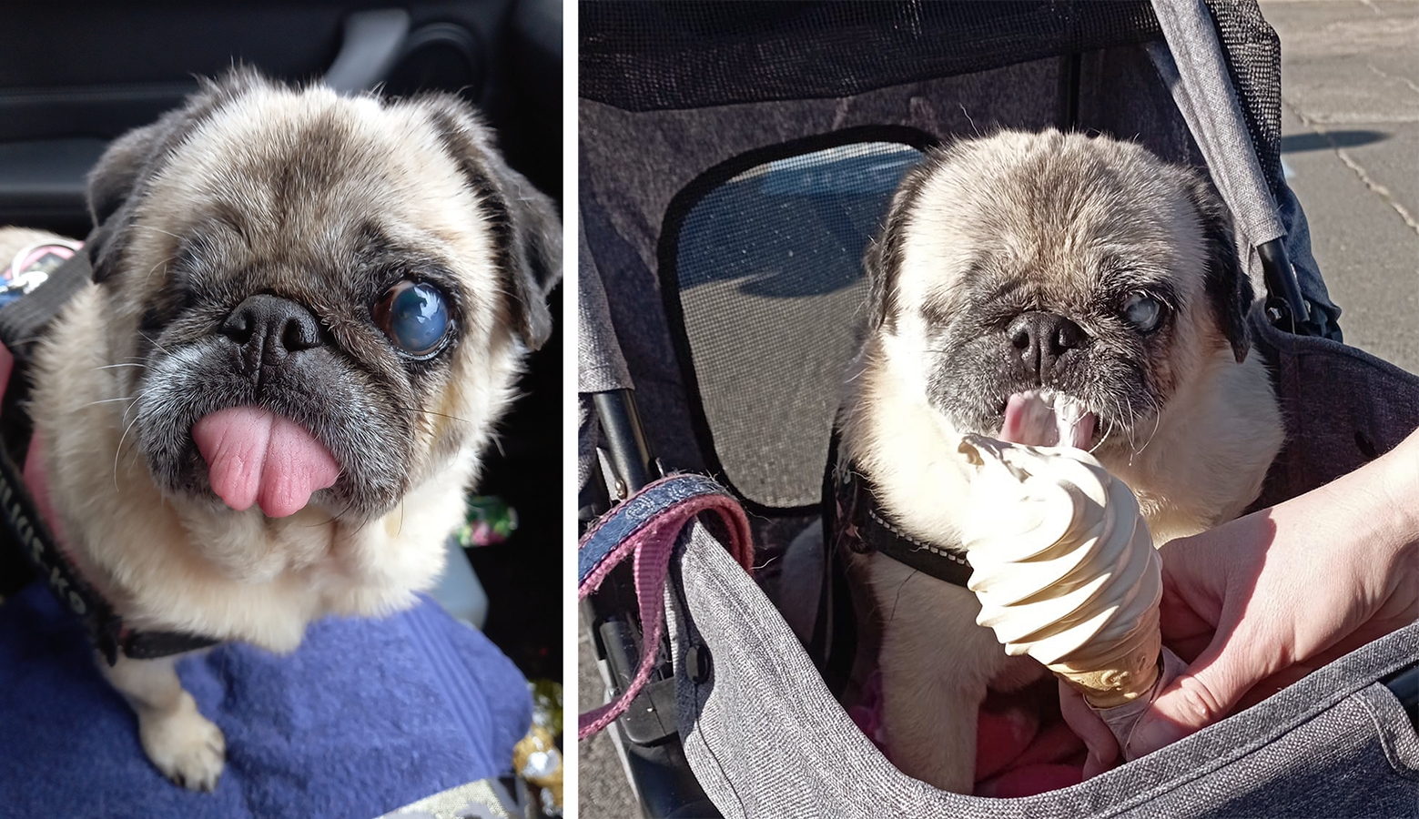 Victoria's Story of Adopting Doris