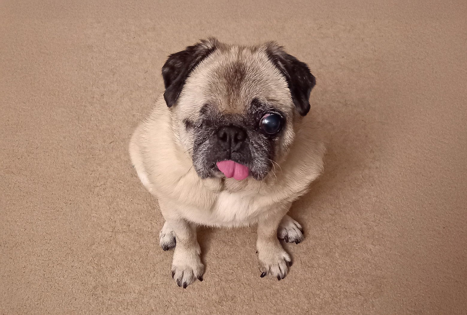 Victoria's Story of Adopting Doris