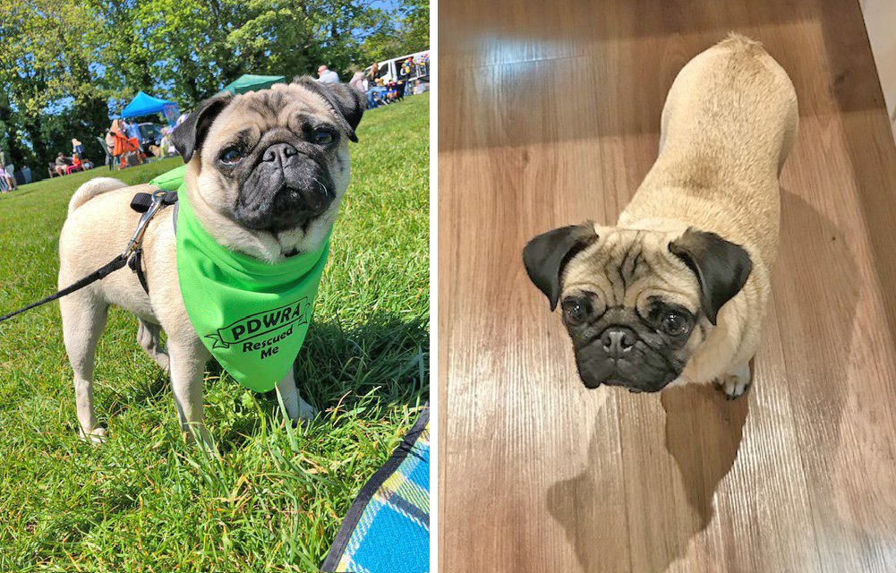 Laura's story of adopting Ethel