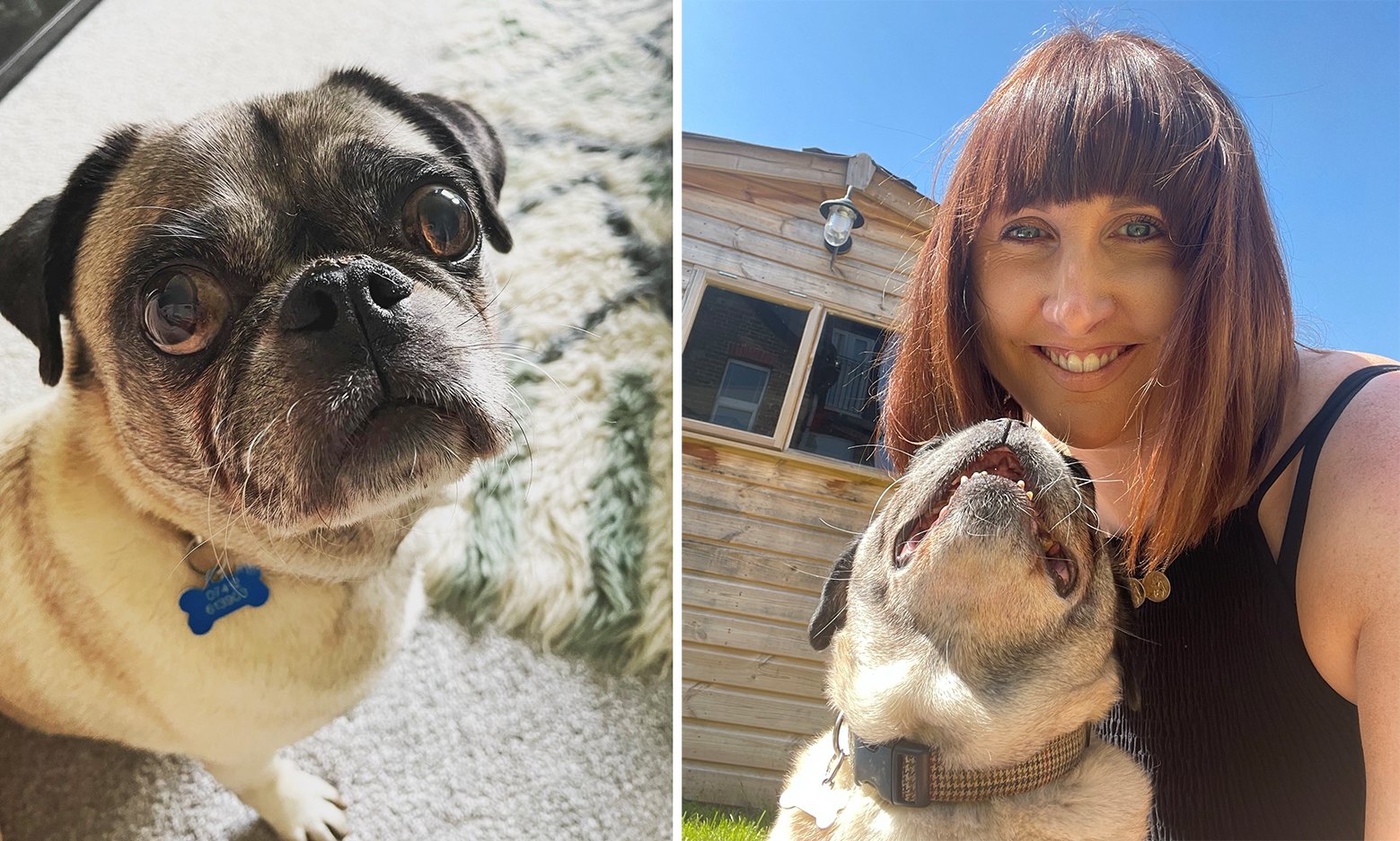 Victoria on Adopting Howie!