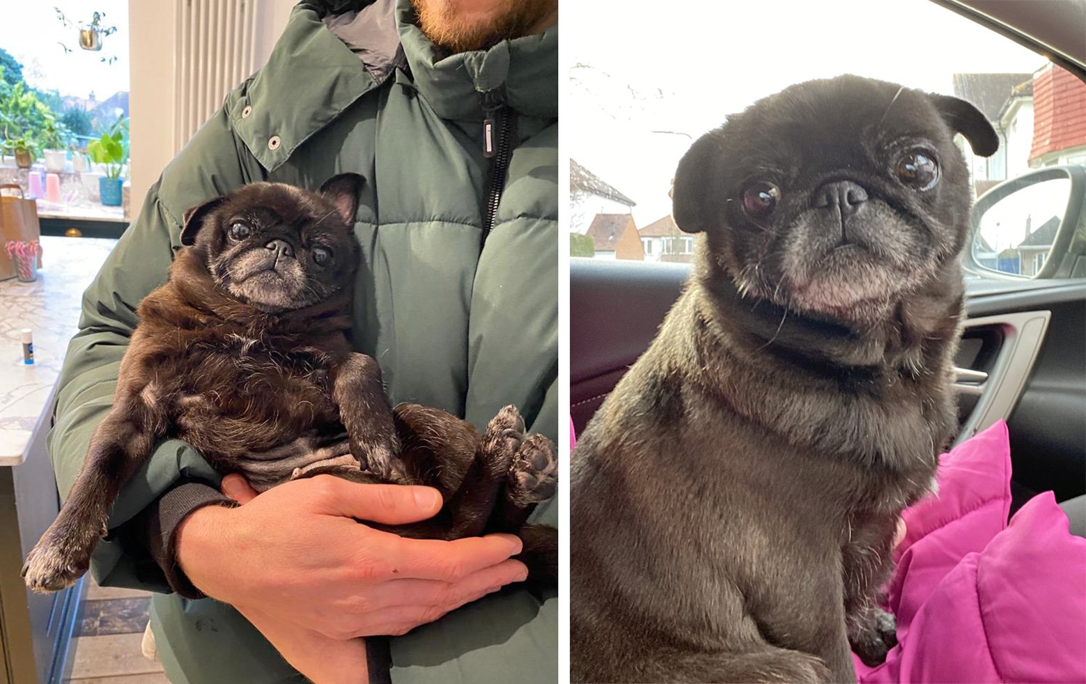 Rebekah’s Story of Adopting Mabel & Pixie