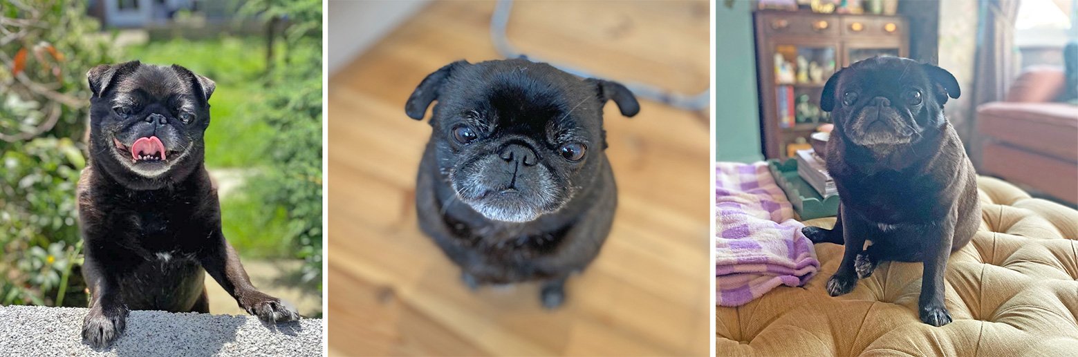 Rebekah’s Story of Adopting Mabel & Pixie