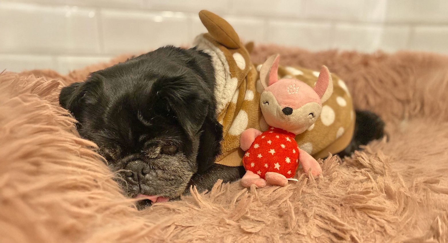 Rebekah’s Story of Adopting Mabel & Pixie