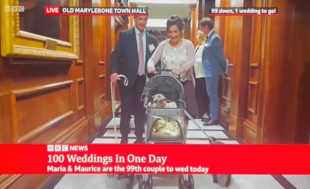 Maria & Maurice Marry with their 3 PDWRA Pugs