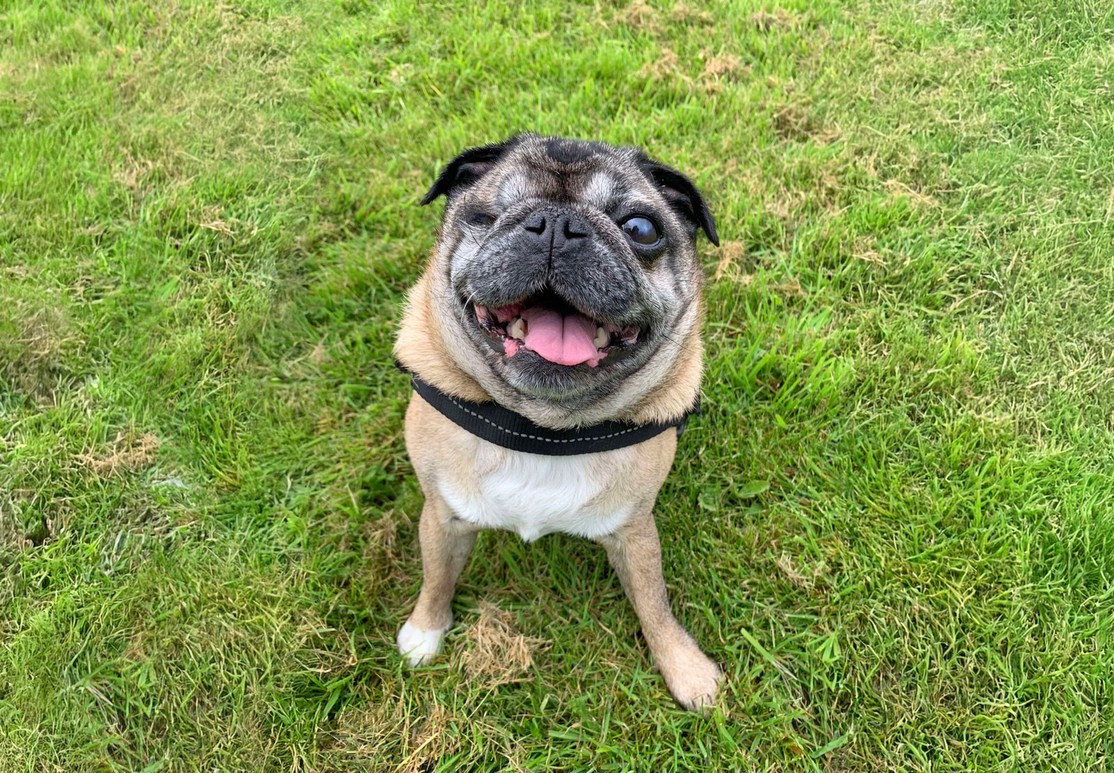 Kathryn's Story of Adopting Minnie