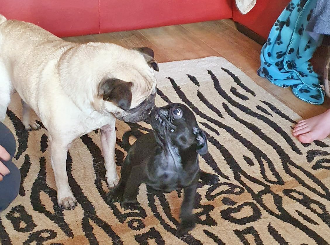 Lisa & Pepper