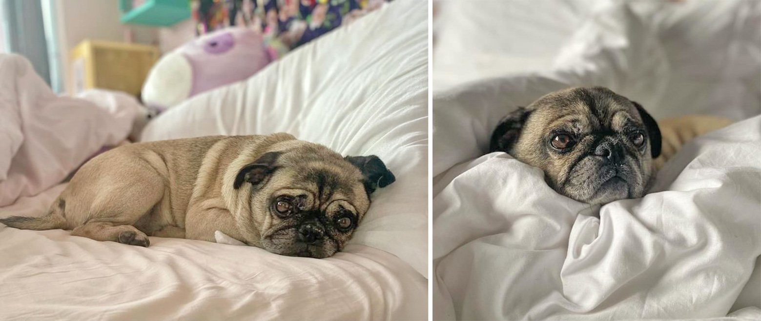 Rebekah’s Story of Adopting Skye