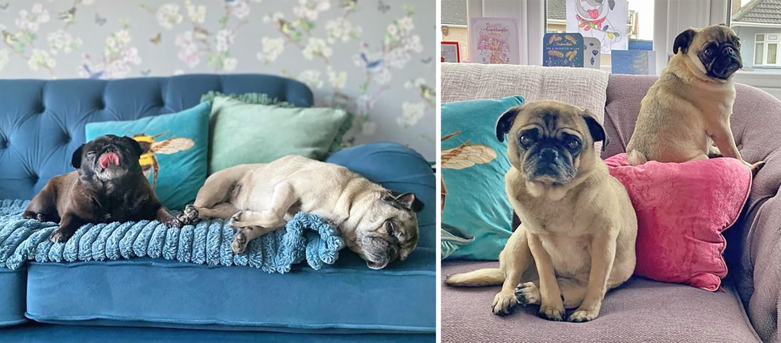Rebekah’s Story of Adopting Skye