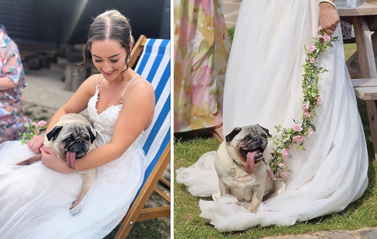 Frank is guest of honour at Stef & Tom's wedding