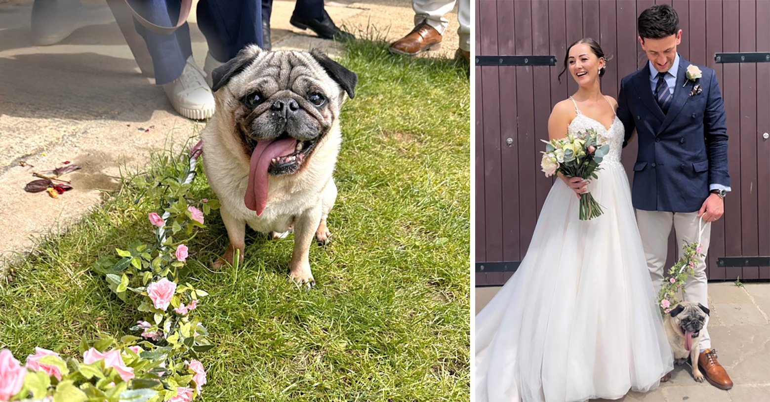 Frank is guest of honour at Stef & Tom's wedding