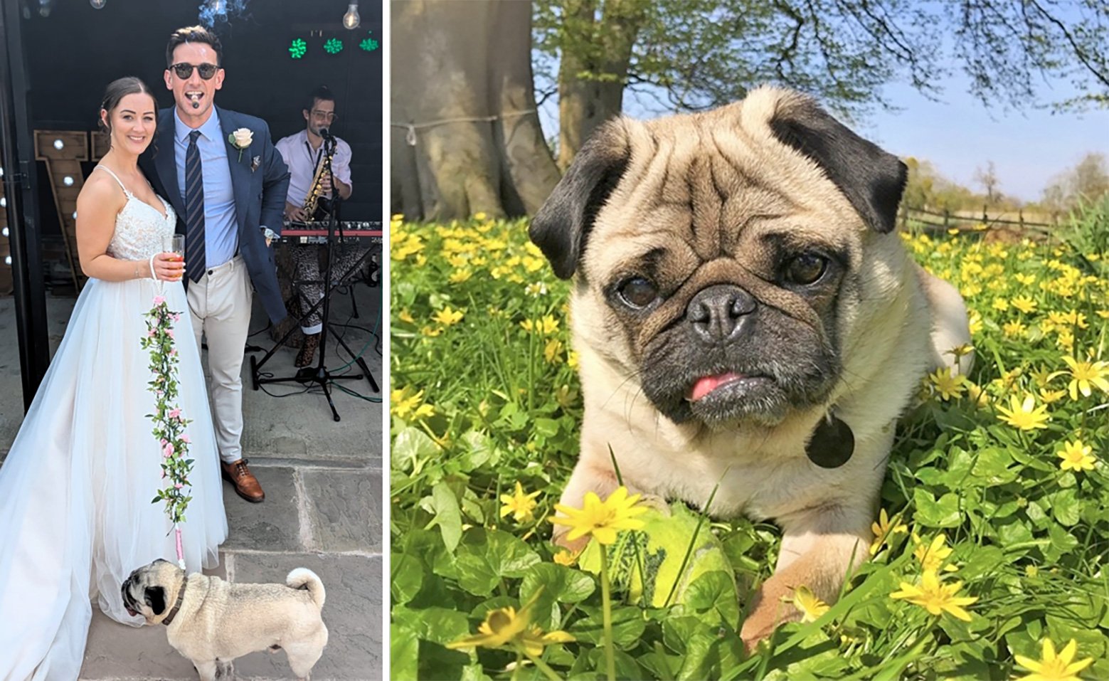 Frank is guest of honour at Stef & Tom's wedding
