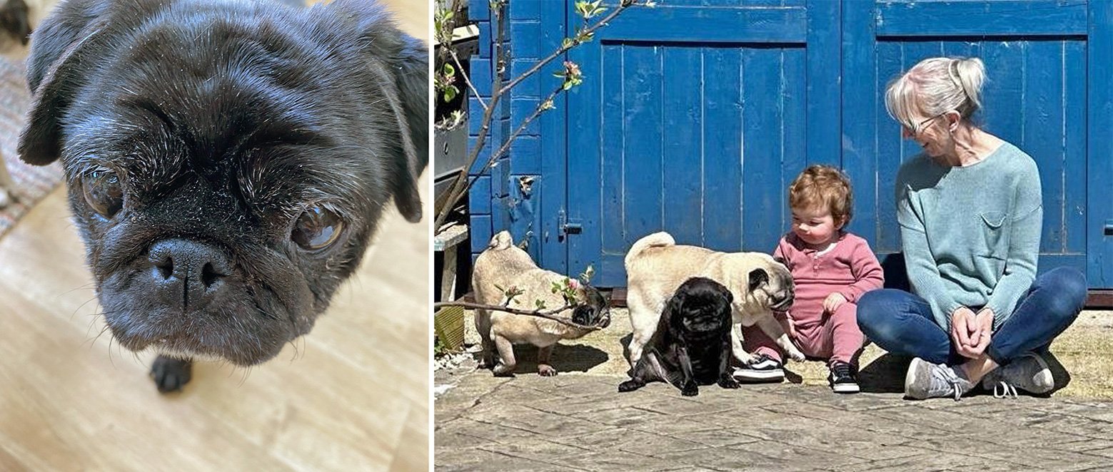 Tilly's foster story