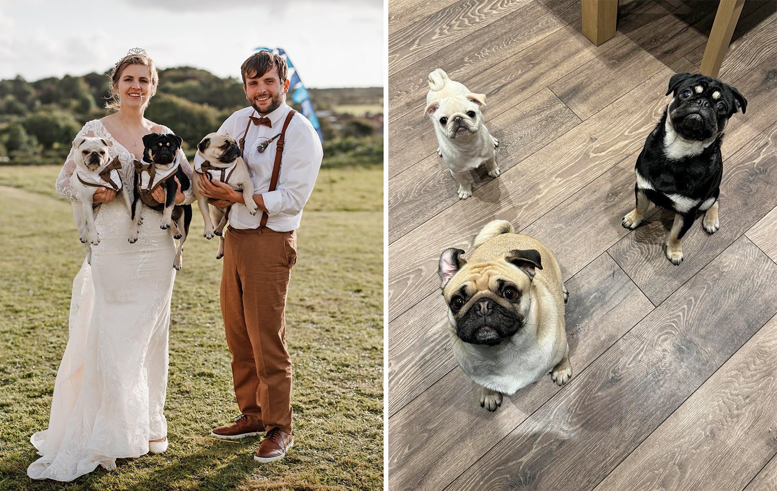 Alison & John's story of adopting Winston