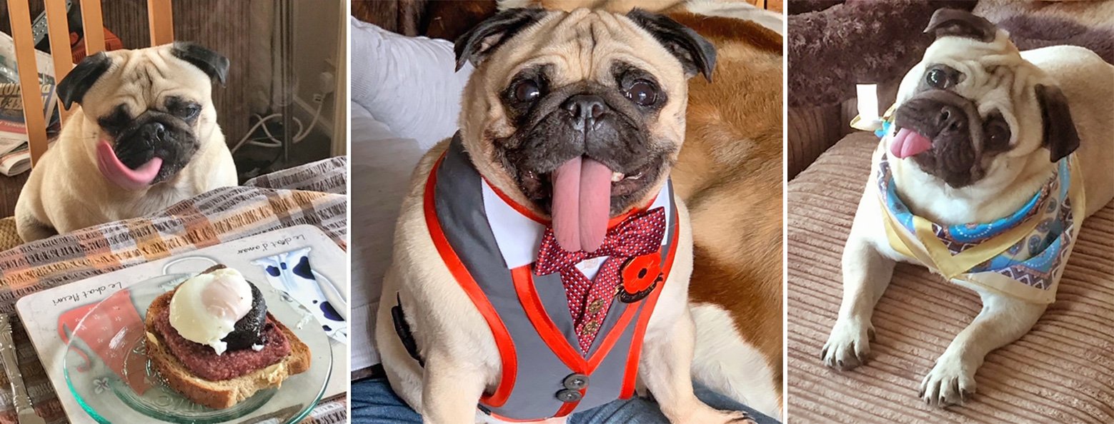 Margaret's Story of Adopting Winston