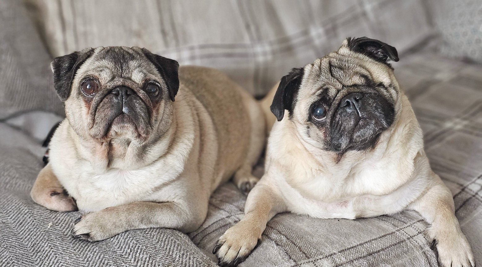 Bo with Lola