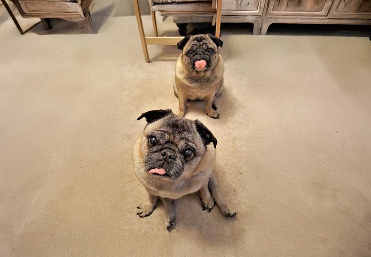 Bo & Hetty – Golden Girls!