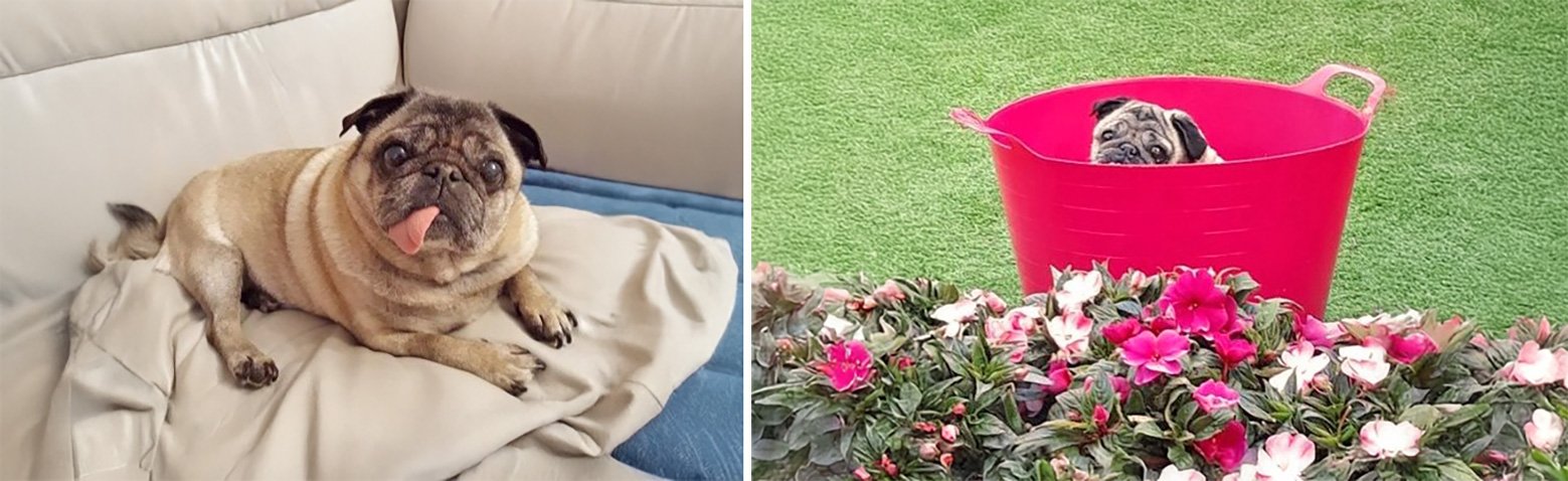 Bo & Hetty – Golden Girls!