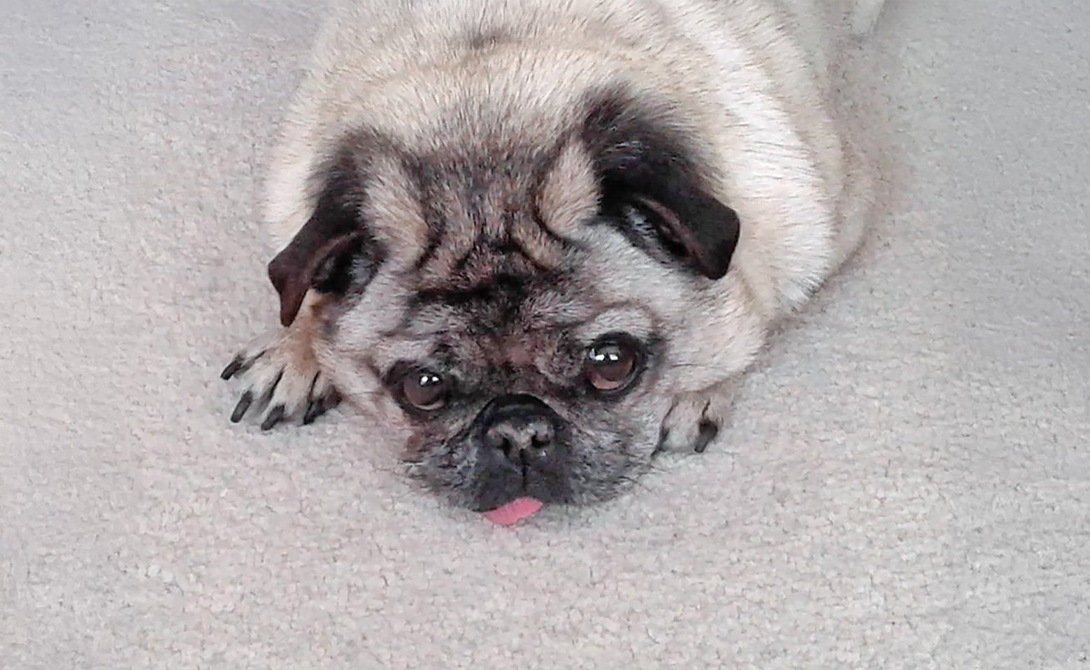 Beautiful Bo