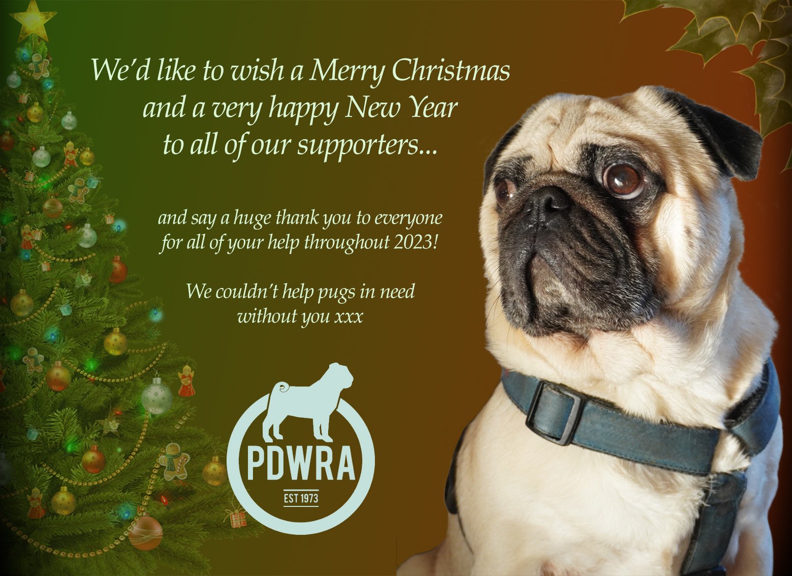 Merry Christmas from the PDWRA