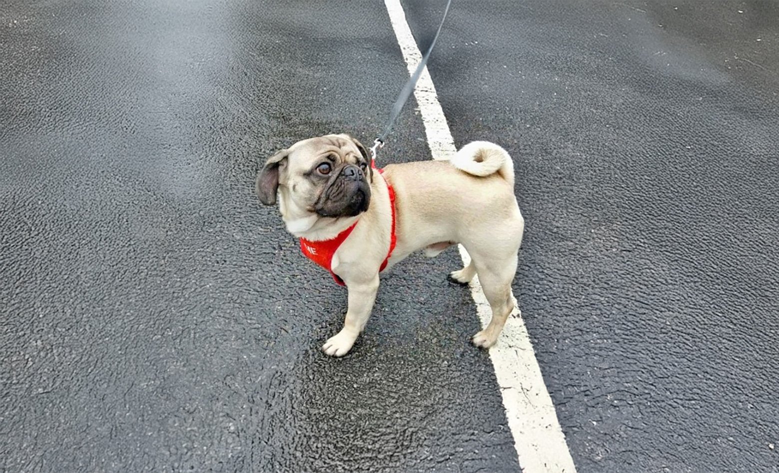 Charlie’s Story