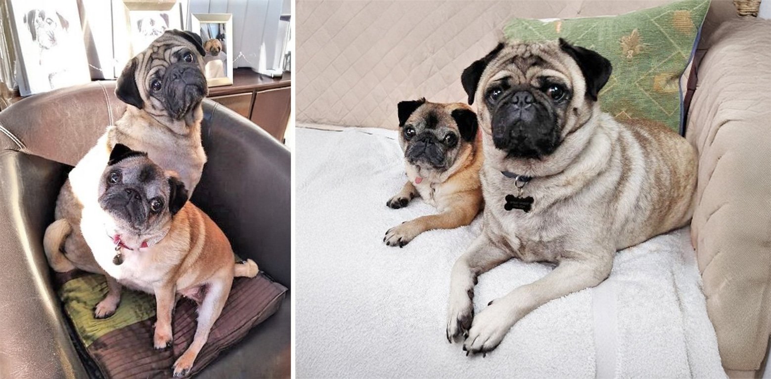 Fred & Mollie's Story