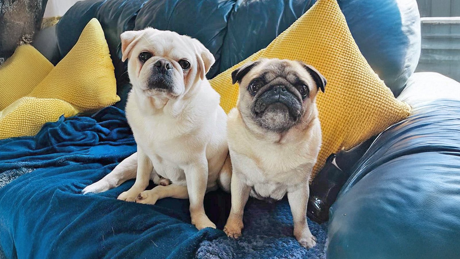 Flynn and Millie got to spend valuable time with Helen