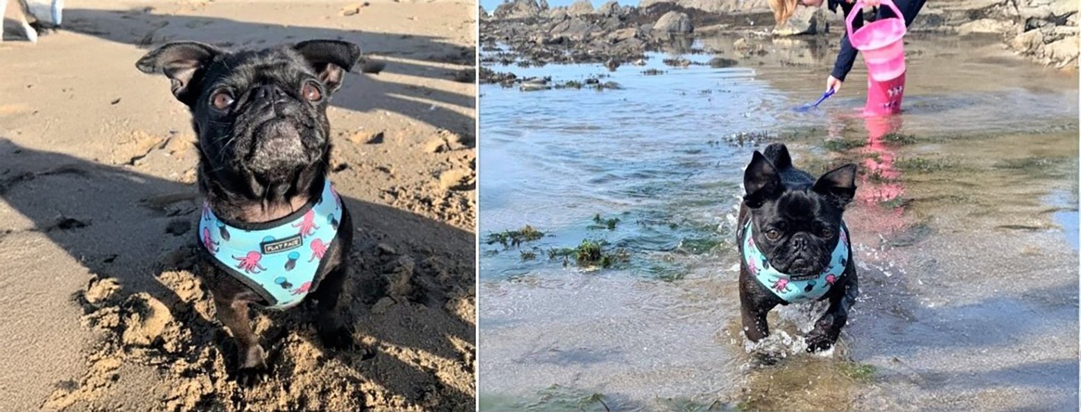 Jellyfish, from the streets to living the dream!