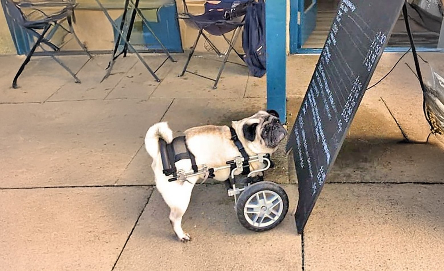 Joseph & his custom-made wheels!