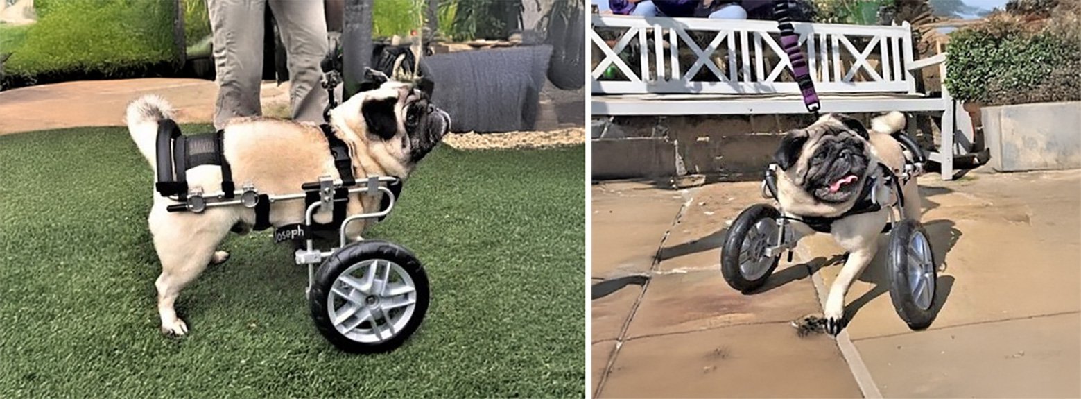 Joseph & his custom-made wheels!