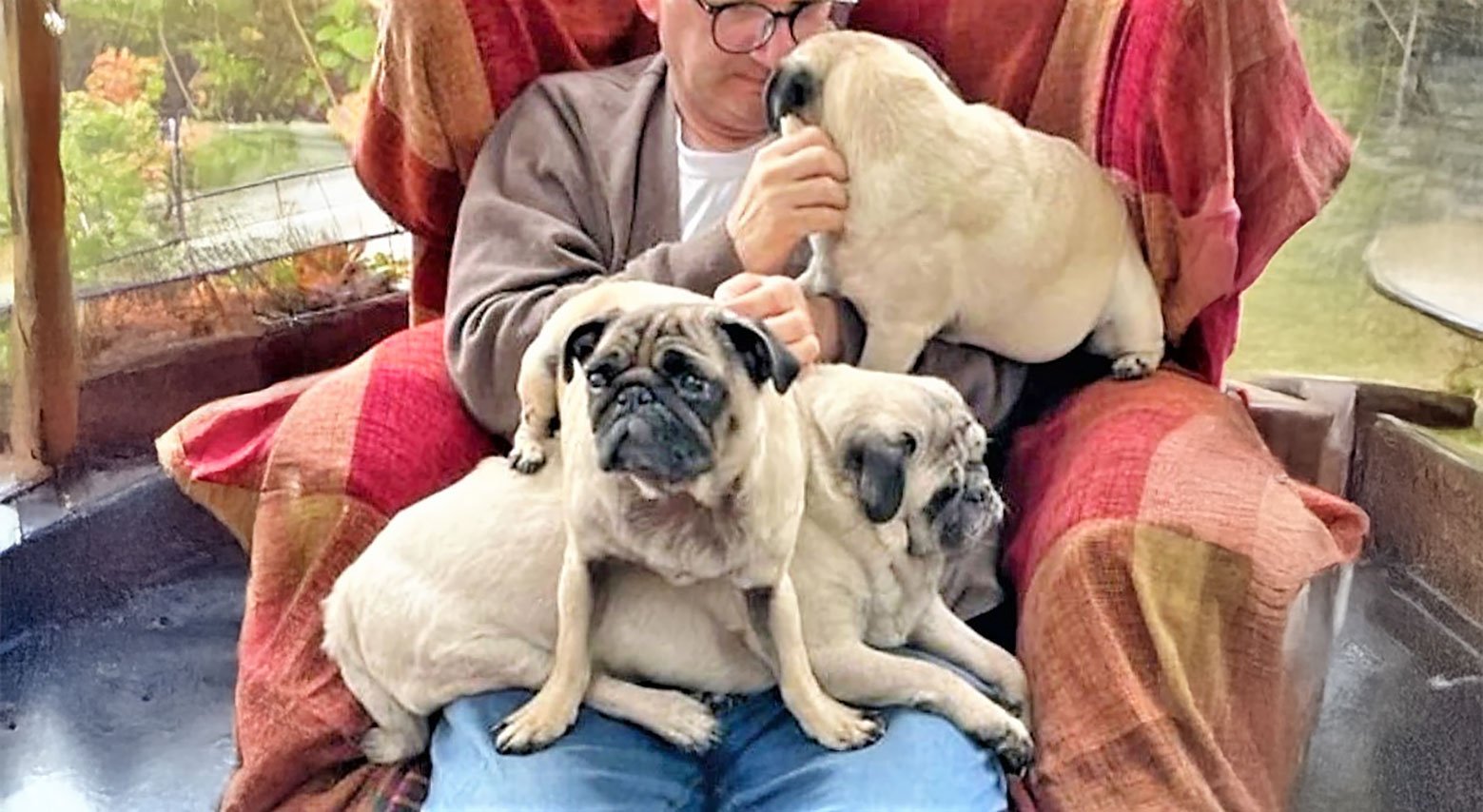 Lucy’s Journey to her Forever Home
