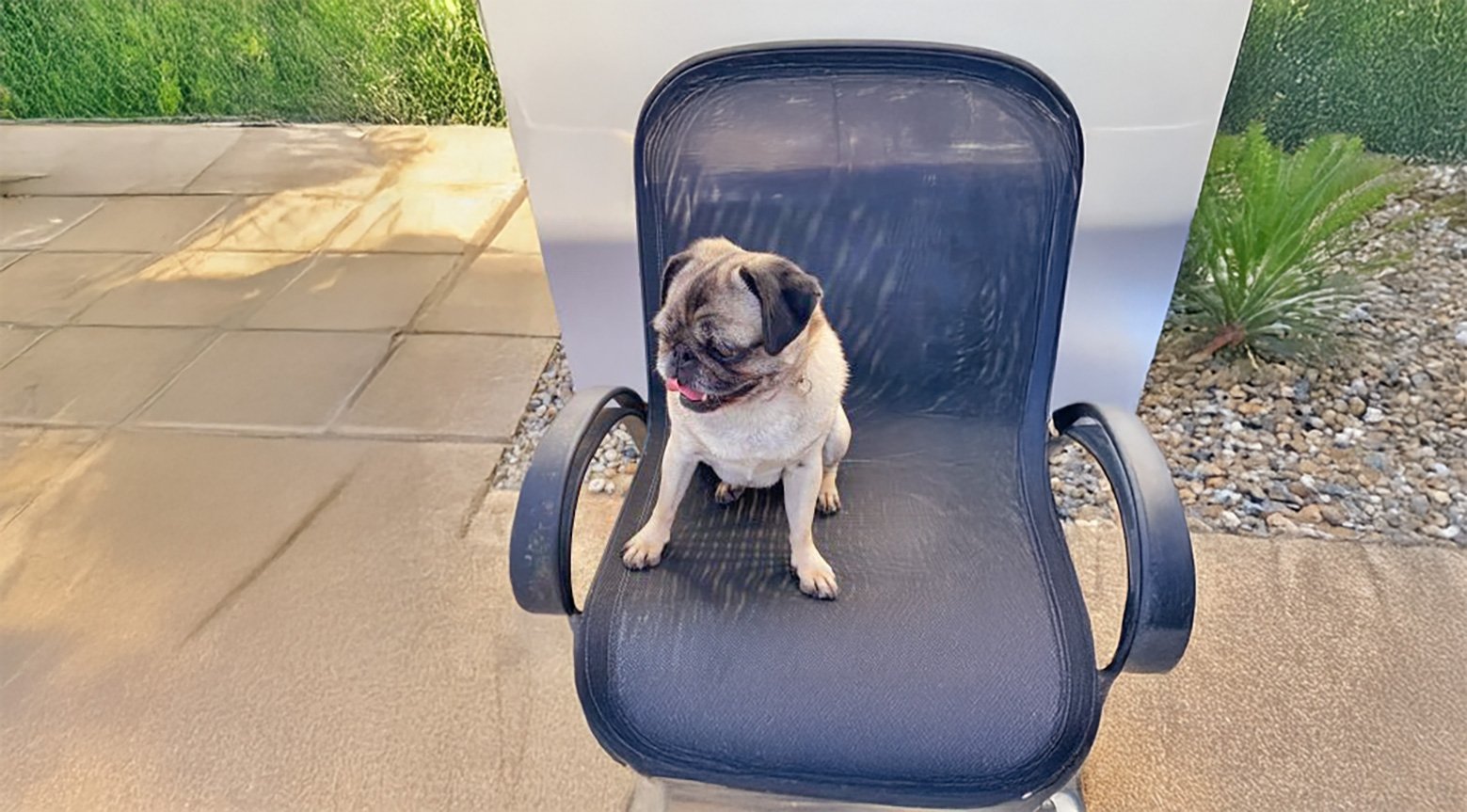 Maisie’s Story