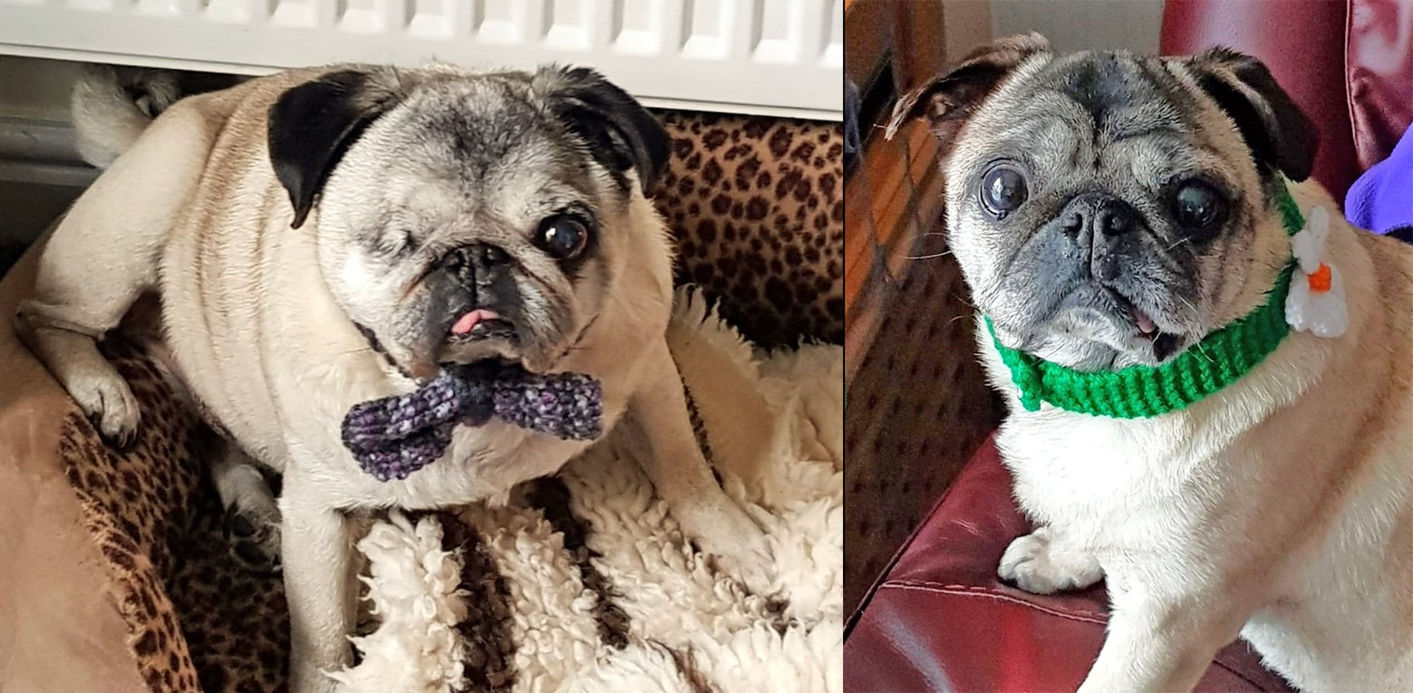 Minnie and Bugsby at home