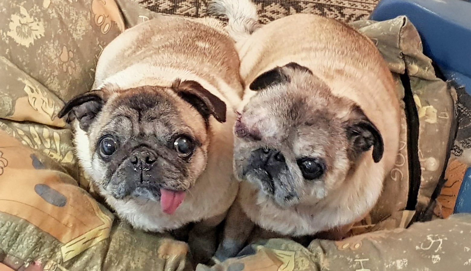 Minnie and Bugsby at home