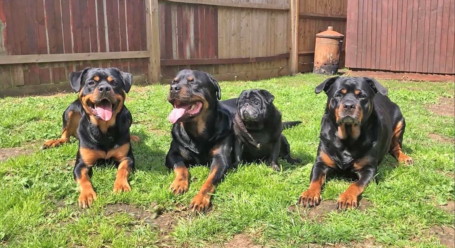 Mr. Bentley with his family