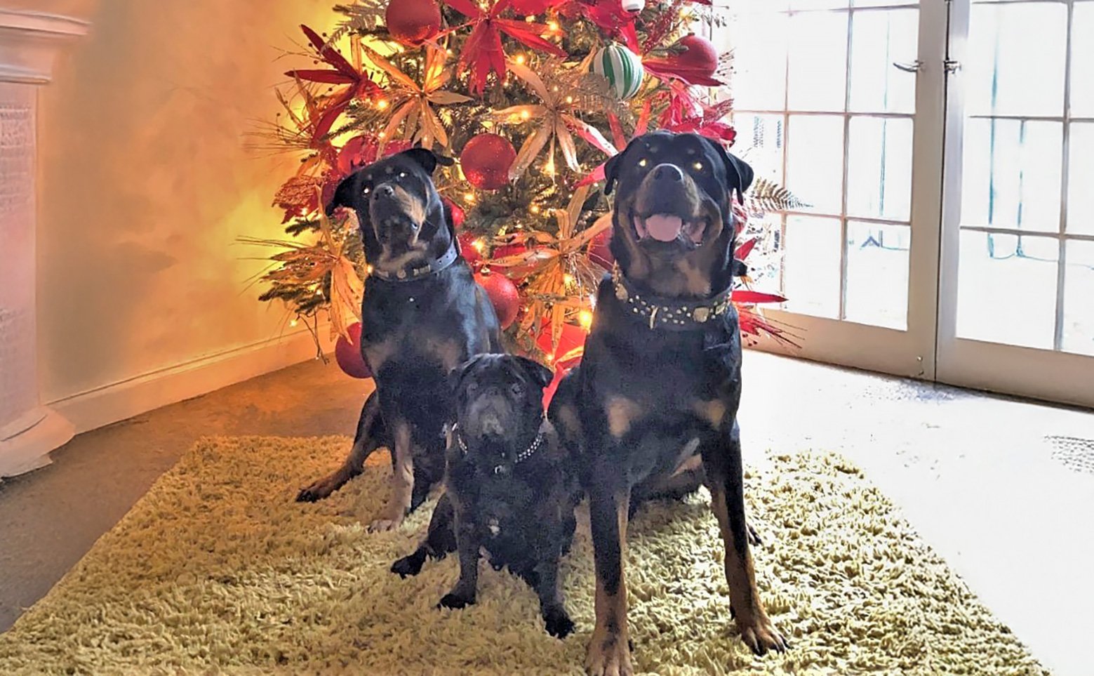 Mr. Bentley celebrating Christmas with his family